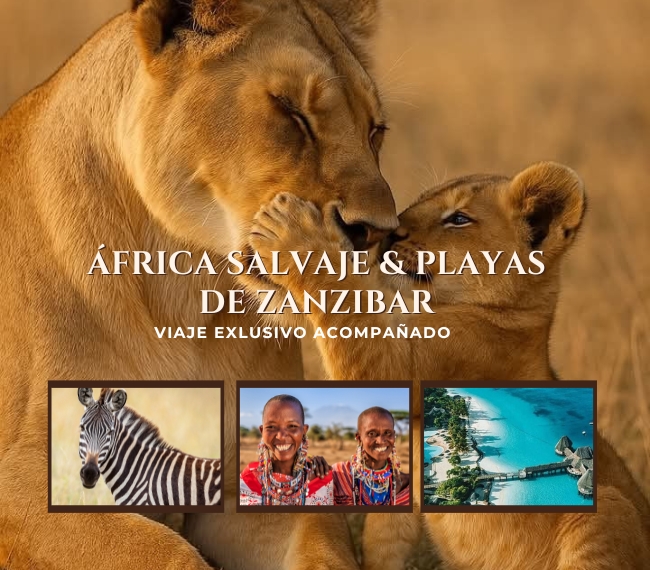FRICA SALVAJE & PLAYAS DE ZANZIBAR - 08 ENERO 2026 - GRUPAL EXCLUSIVA ACOMPAADA