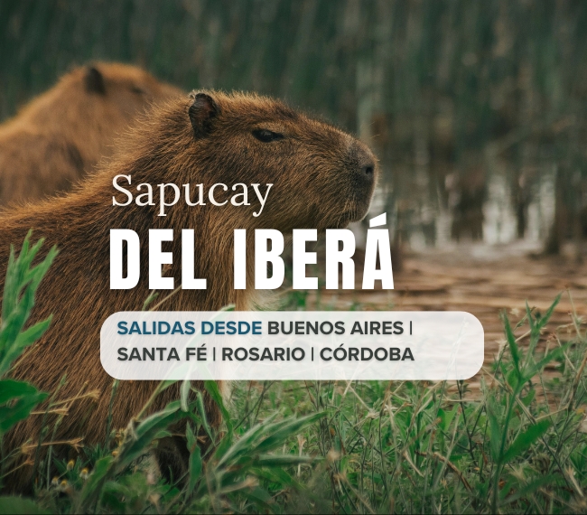 SAPUCAY DEL IBER - Salida Grupal en Bus - 01 de Noviembre