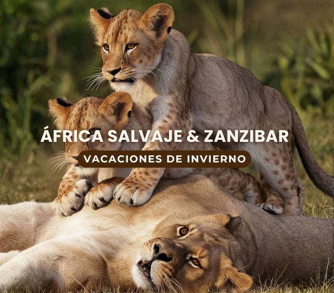 FRICA SALVAJE & ZANZIBAR - 18 JULIO 2026 - Vacaciones de Invierno! Salida exclusiva acompaada