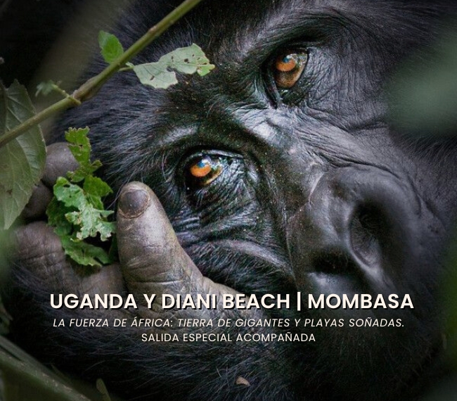 UGANDA Y DIANI BEACH | MOMBASA - Salida especial acompaada - 21 de Agosto 2026 - 18 das / 15 noches