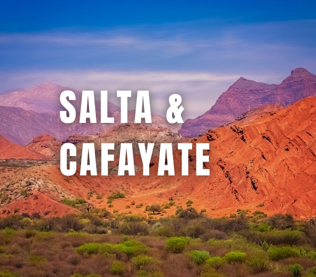 SALTA con Cafayate