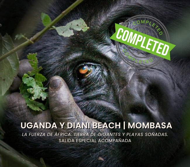UGANDA Y DIANI BEACH | MOMBASA - Salida especial acompa�ada - 21 de Agosto 2026 - 18 d�as / 15 noches